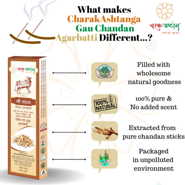 CharakAshtanga Gau Chandan Herbal Agarbatti (Scented)-Pack of 6 - Image 5