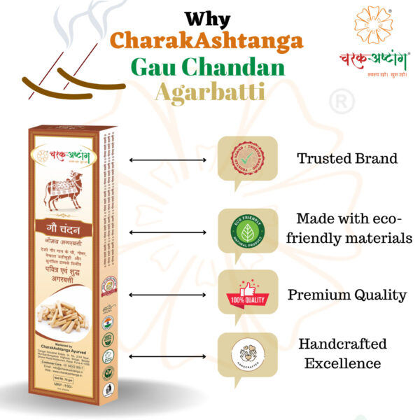 CharakAshtanga Gau Chandan Herbal Agarbatti (Scented)-Pack of 6 - Image 4