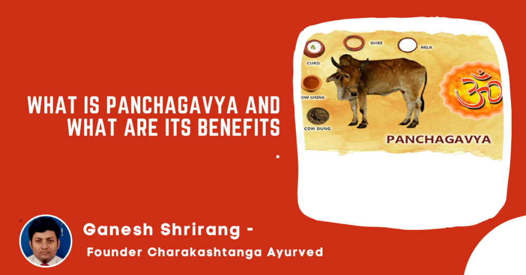 What is Panchagavya and What are its Benefits